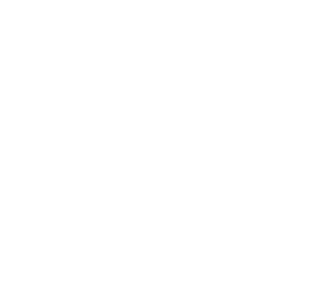 aelvi-logo-white