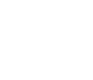 mfi logo white1